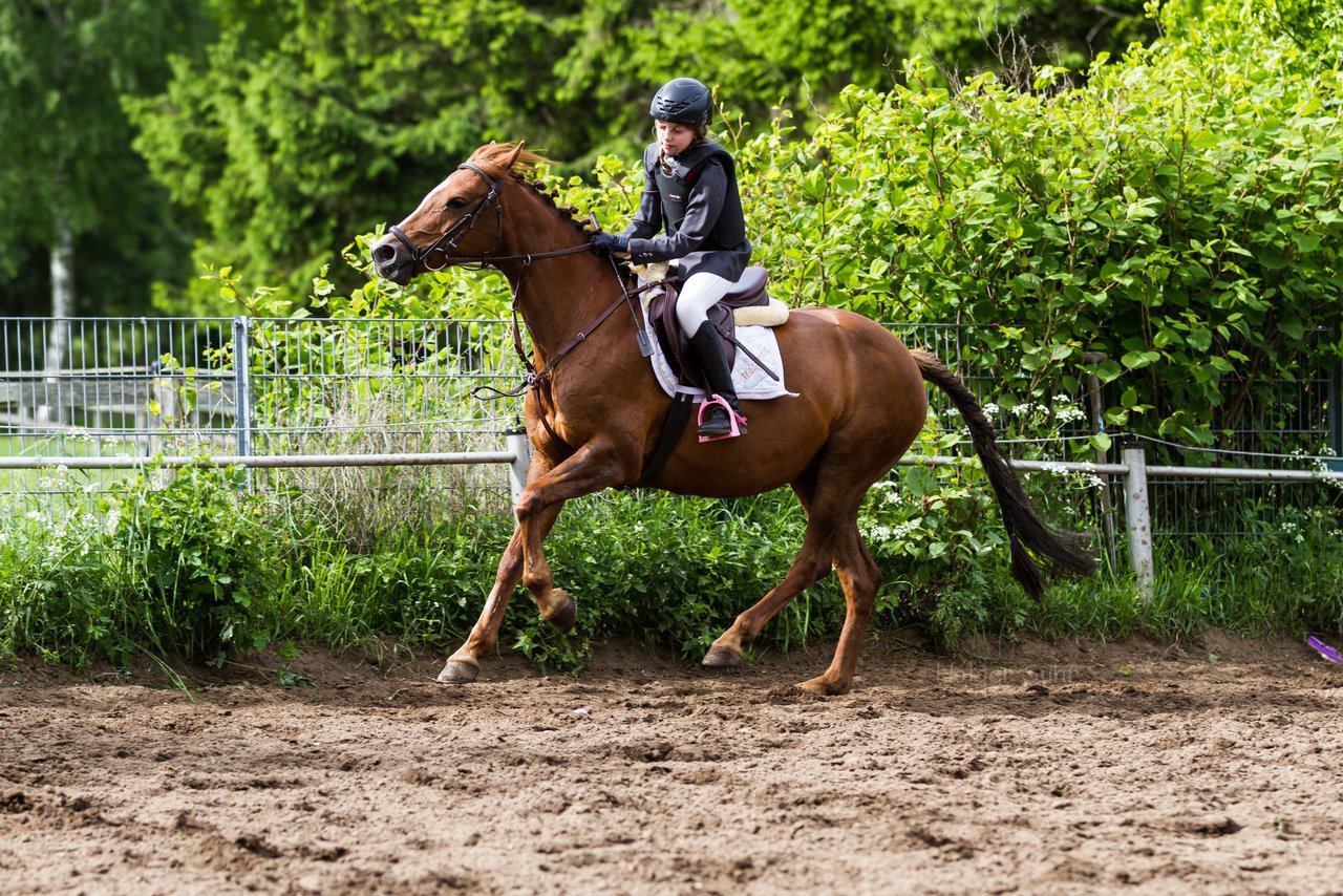 Bild 193 - Reitschule Janen Jubilum